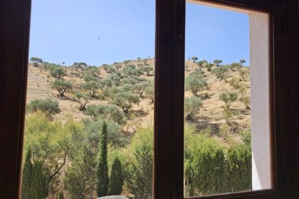 43226d9cd1f57dd99a069aebb5549118 - 26