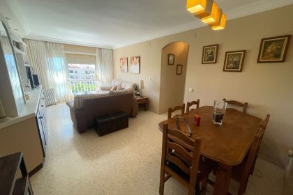 5b6a2d85220dbcd3c0e4164a3e469a4a - 23