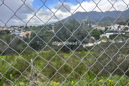 cdb54029f443be005b0b39c010616b1b - 1