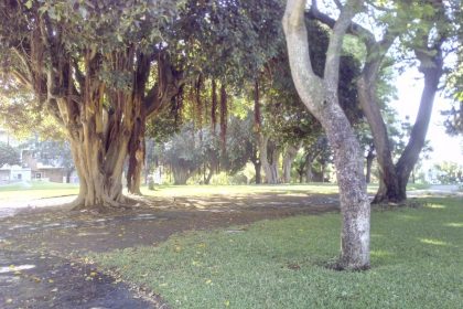 jardin